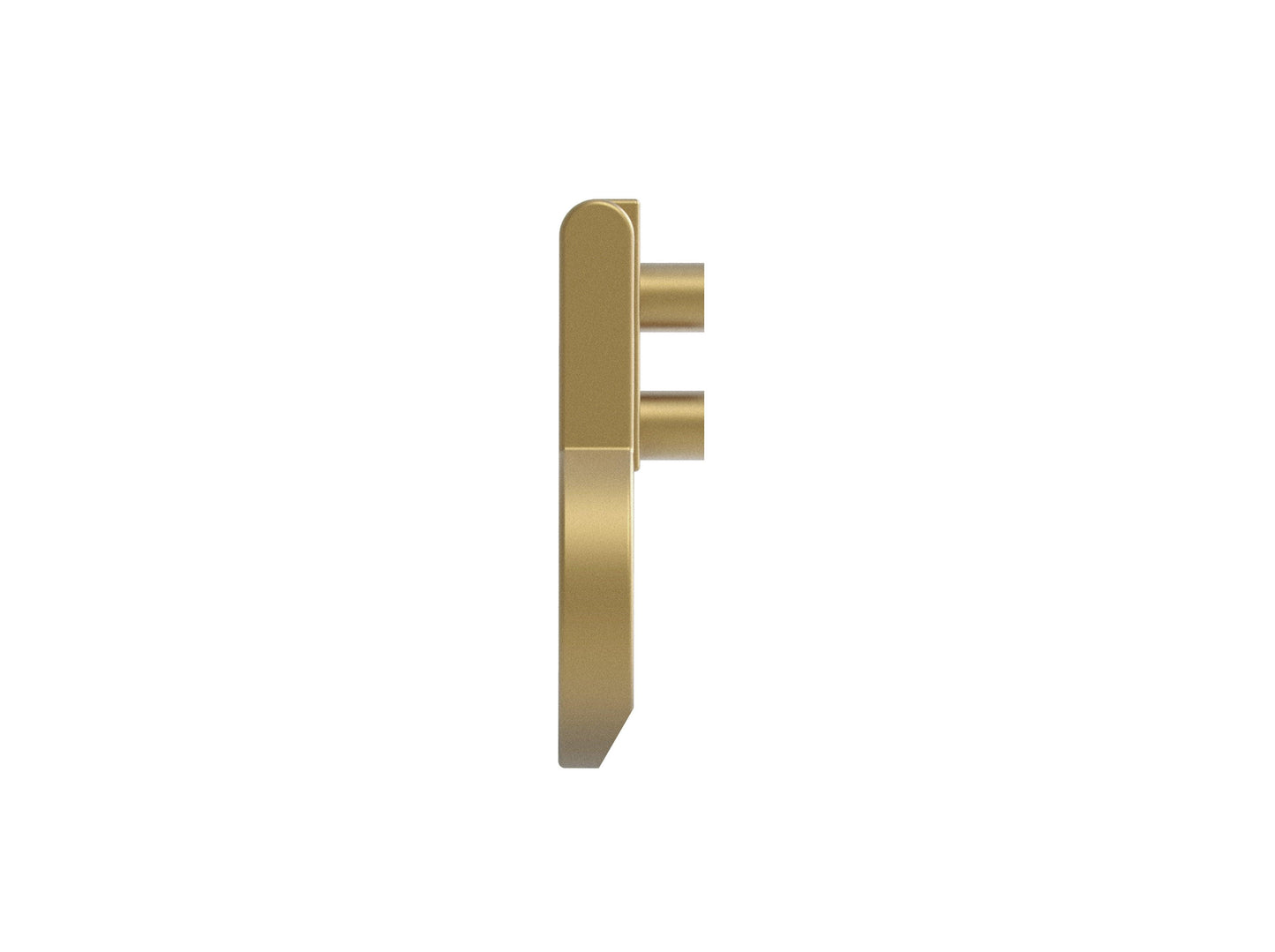 ANTIGUE KNOB 1 1-8" Champagne Bronze - Solua Inc